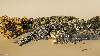 按摩技巧：解锁桑拿按摩工具的秘密，提升舒适体验 图片