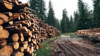 告别僵硬！3分钟办公室自我按摩，拯救你的颈椎腰椎！