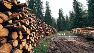 告别肩颈僵硬！武汉伢在家就能做的超有效自我按摩大法，舒缓一整天！