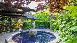 我的武汉按摩初体验：从腰酸背痛到浑身舒畅的奇妙转变！