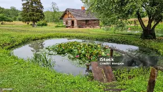 武汉桑拿新体验：不止是高温，更是身心灵的深度疗愈！