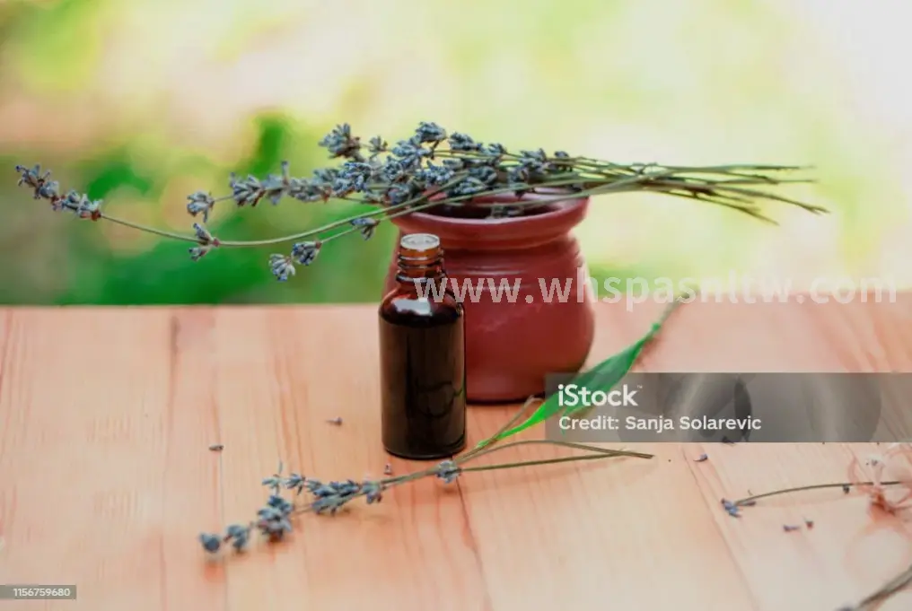 筋膜枪按摩肩颈