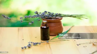 武汉按摩：解锁身体“小确幸”，你的私人理疗师都在用这些秘密武器！